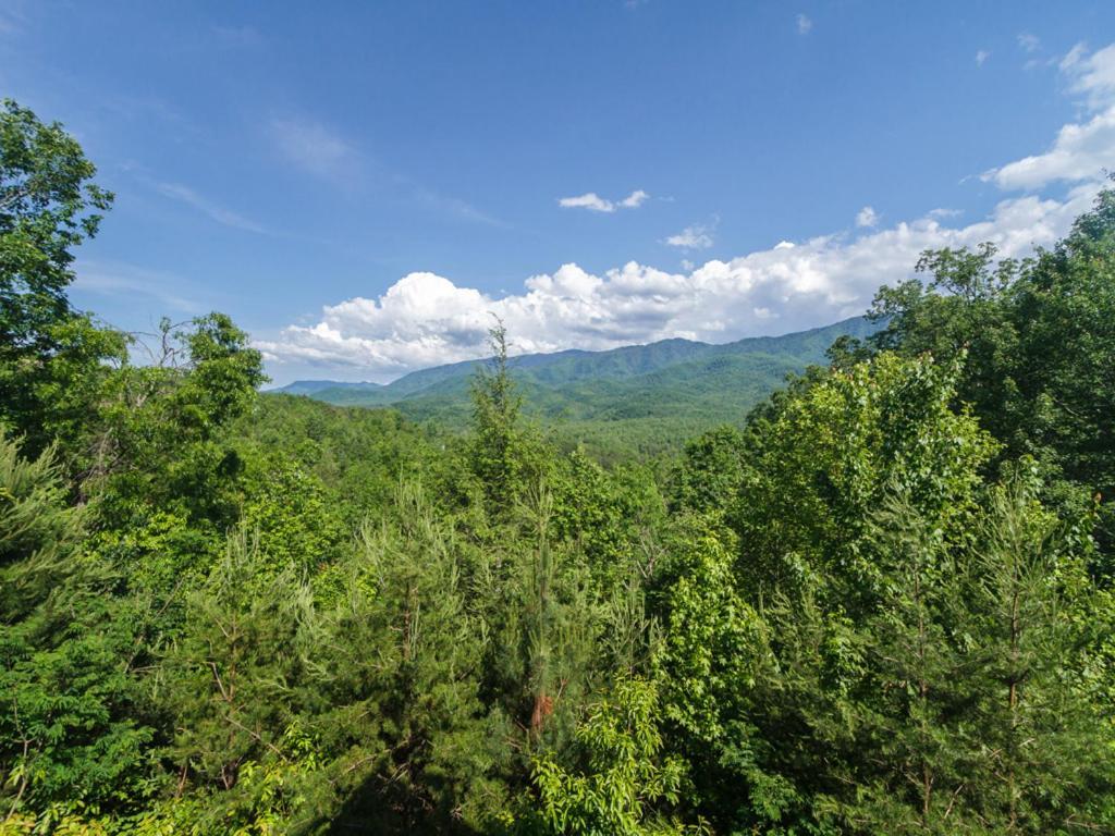 Dreamscapes Villa Gatlinburg Buitenkant foto